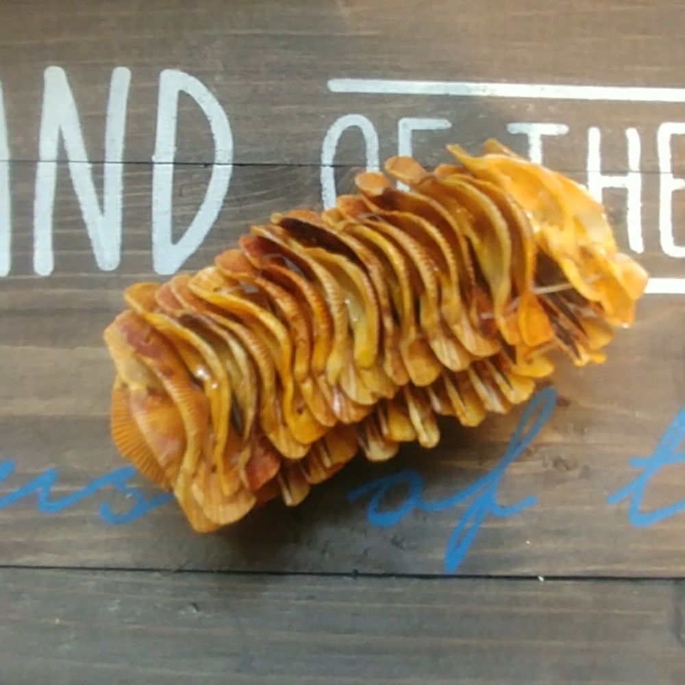 Shell bracelet